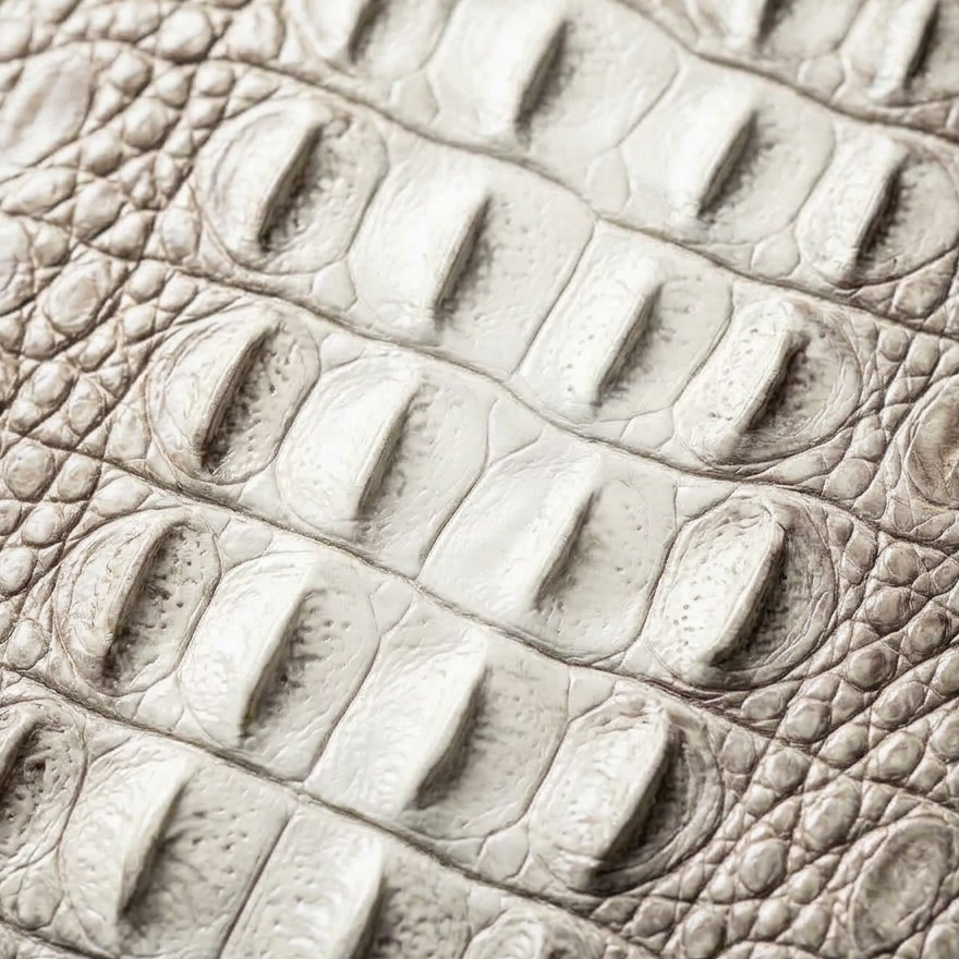 Magnus Collection — Ivory